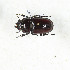  ( - CTBB-3909)  @11 [ ] Copyright © (2023) Thierry Bouyer Research Collection of Thierry Bouyer