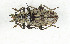  ( - CTBB-3916)  @11 [ ] Copyright © (2023) Thierry Bouyer Research Collection of Thierry Bouyer