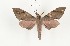  ( - CTBB-3952)  @11 [ ] Copyright © (2023) Thierry Bouyer Research Collection of Thierry Bouyer