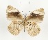  ( - CTBB-4023)  @11 [ ] Copyright © (2023) Thierry Bouyer Research Collection of Thierry Bouyer
