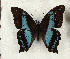  ( - CTBB-4163)  @11 [ ] Copyright © (2023) Thierry Bouyer Research Collection of Thierry Bouyer