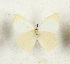  ( - CTBB-4311)  @11 [ ] Copyright © (2023) Thierry Bouyer Research Collection of Thierry Bouyer