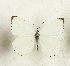  ( - CTBB-4313)  @11 [ ] Copyright © (2023) Thierry Bouyer Research Collection of Thierry Bouyer