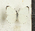  ( - CTBB-4314)  @11 [ ] Copyright © (2023) Thierry Bouyer Research Collection of Thierry Bouyer