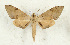  ( - CTBB-4315)  @11 [ ] Copyright © (2023) Thierry Bouyer Research Collection of Thierry Bouyer