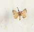  ( - CTBB-4444)  @11 [ ] Copyright © (2025) Thierry Bouyer Research Collection of Thierry Bouyer