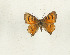  ( - CTBB-4452)  @11 [ ] Copyright © (2025) Thierry Bouyer Research Collection of Thierry Bouyer