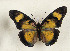  ( - CTBB-4459)  @11 [ ] Copyright © (2025) Thierry Bouyer Research Collection of Thierry Bouyer