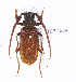  ( - CTBB-1204)  @11 [ ] Copyright (2014) Alain Drumont Research Collection of Alain Drumont