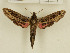  ( - CTBB-1276)  @13 [ ] Copyright (2014) Thierry Bouyer Research Collection of Thierry Bouyer