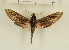  ( - CTBB-1279)  @14 [ ] Copyright (2014) Thierry Bouyer Research Collection of Thierry Bouyer