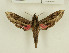  ( - CTBB-1280)  @14 [ ] Copyright (2014) Thierry Bouyer Research Collection of Thierry Bouyer