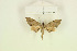  ( - CTBB-1698)  @13 [ ] Copyright (2015) Thierry Bouyer Research Collection of Jean-Daniel Deschamps