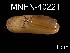  (Idas sp. C JL-2008 - MNHN-IM-2007-40221)  @14 [ ] Unspecified (default): All Rights Reserved  Unspecified Unspecified