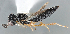  ( - FSCA 00094167)  @11 [ ] CreativeCommons - Attribution Share-Alike (2023) Unspecified Florida Department of Agriculture and Consumer Services, Division of Plant Industry