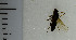  ( - SV1082)  @12 [ ] No Rights Reserved (2013) Unspecified University of Oslo, Natural History Museum