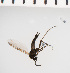  ( - SV1202)  @12 [ ] CreativeCommons - Attribution Share-Alike (2014) Natural History Museum, University of Oslo Natural History Museum, University of Oslo