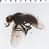  ( - SV1269)  @13 [ ] CreativeCommons - Attribution Share-Alike (2014) Natural History Museum, University of Oslo Natural History Museum, University of Oslo