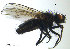  ( - SV595)  @13 [ ] CreativeCommons - Attribution Non-Commercial Share-Alike (2012) NTNU Museum of Natural History and Archaeology NTNU Museum of Natural History and Archaeology
