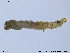  ( - SV661)  @12 [ ] CreativeCommons - Attribution Non-Commercial Share-Alike (2012) NTNU Museum of Natural History and Archaeology NTNU Museum of Natural History and Archaeology