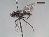  ( - MACN-EN-DIP213)  @11 [ ] Copyright (2019) MACN Museo Argentino de Ciencias Naturales, Bernardino Rivadavia