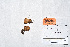  ( - IG2014066)  @11 [ ] CreativeCommons - Attribution Non-Commercial (2014) James Holkko Unspecified