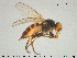  ( - SV-pit3)  @13 [ ] CreativeCommons - Attribution Non-Commercial Share-Alike (2015) NTNU University Museum, Department of Natural History NTNU University Museum, Department of Natural History