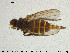  ( - SV-pit7)  @12 [ ] CreativeCommons - Attribution Non-Commercial Share-Alike (2015) NTNU University Museum, Department of Natural History NTNU University Museum, Department of Natural History