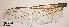  ( - MZ823274)  @11 [ ] CreativeCommons - Attribution Non-Commercial Share-Alike (2022) Unspecified University of Lausanne