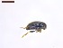  ( - SWOB101)  @11 [ ] Copyright (2019) Julia Mlynarek AAFC