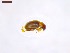  ( - SWOB115)  @11 [ ] Copyright (2019) Julia Mlynarek AAFC