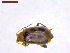  ( - SWOB117)  @11 [ ] Copyright (2019) Julia Mlynarek AAFC