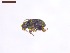  ( - SWOB125)  @11 [ ] Copyright (2019) Julia Mlynarek AAFC