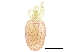  (Microtrombidiidae - BIOUG23954-E04)  @15 [ ] CreativeCommons - Attribution (2015) CBG Photography Group Centre for Biodiversity Genomics