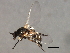  ( - 09PROBE-01587_prey1)  @13 [ ] CreativeCommons - Attribution (2009) Unspecified Centre for Biodiversity Genomics