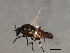  ( - 09PROBE-01626_prey1)  @13 [ ] CreativeCommons - Attribution (2009) Unspecified Centre for Biodiversity Genomics