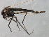  ( - 09PROBE-01644_prey1)  @13 [ ] CreativeCommons - Attribution (2009) Unspecified Centre for Biodiversity Genomics