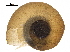  ( - BIOUG36451-C03)  @11 [ ] CreativeCommons - Attribution (2017) CBG Photography Group Centre for Biodiversity Genomics