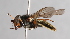  ( - CNC 9024)  @11 [ ] CreativeCommons - Attribution Non-Commercial Share-Alike (2014) Jeffrey H. Skevington Agriculture and Agri-Food Canada