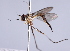  ( - INB 0004335722)  @11 [ ] CreativeCommons - Attribution Non-Commercial Share-Alike (2014) Jeffrey H. Skevington Agriculture and Agri-Food Canada
