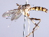  ( - INB 0004351826)  @12 [ ] CreativeCommons - Attribution Non-Commercial Share-Alike (2014) Jeffrey H. Skevington Agriculture and Agri-Food Canada
