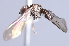  ( - INB 0004364196)  @11 [ ] CreativeCommons - Attribution Non-Commercial Share-Alike (2014) Jeffrey H. Skevington Agriculture and Agri-Food Canada