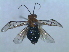  ( - bf-sym-00023)  @12 [ ] CreativeCommons - Attribution Non-Commercial Share-Alike (2012) Ole Lonnve BioFokus