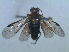  ( - bf-sym-00024)  @12 [ ] CreativeCommons - Attribution Non-Commercial Share-Alike (2012) Ole Lonnve BioFokus