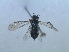  ( - bf-sym-00029)  @12 [ ] CreativeCommons - Attribution Non-Commercial Share-Alike (2012) Ole Lonnve BioFokus