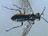  ( - bf-sym-00050)  @11 [ ] CreativeCommons - Attribution Non-Commercial Share-Alike (2012) Ole Lonnve BioFokus