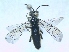  ( - bf-sym-00056)  @11 [ ] CreativeCommons - Attribution Non-Commercial Share-Alike (2012) Ole Lonnve BioFokus