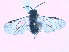  ( - bf-sym-00007)  @12 [ ] CreativeCommons - Attribution Non-Commercial Share-Alike (2012) Ole Lonnve BioFokus