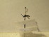  ( - bf-sym-00152)  @12 [ ] CreativeCommons - Attribution Share-Alike (2017) Lønnve, O.J BioFokus