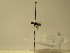  ( - bf-sym-00153)  @12 [ ] CreativeCommons - Attribution Share-Alike (2017) Lønnve, O.J BioFokus